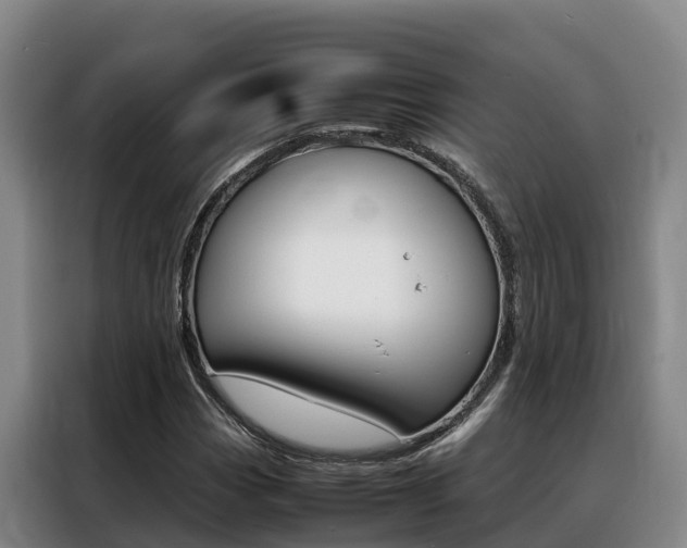 X0000088361113200705220727