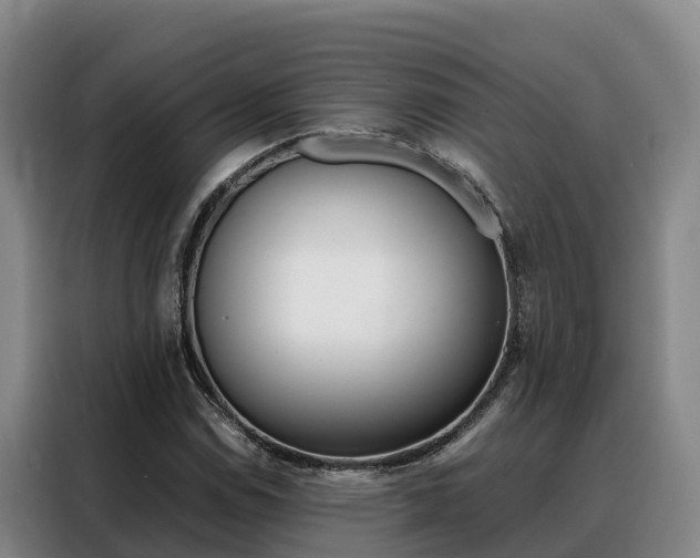X0000088361114200705220727