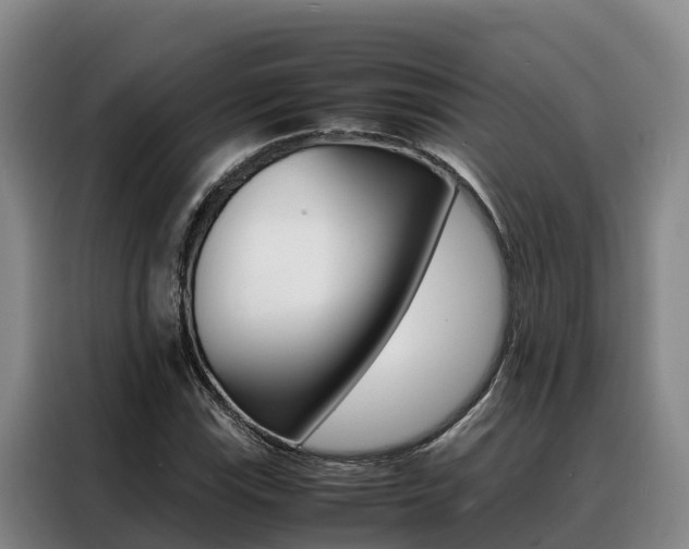 X0000088361115200705220727