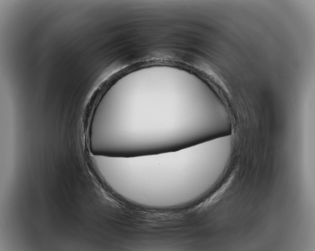 X0000088361117200705220727