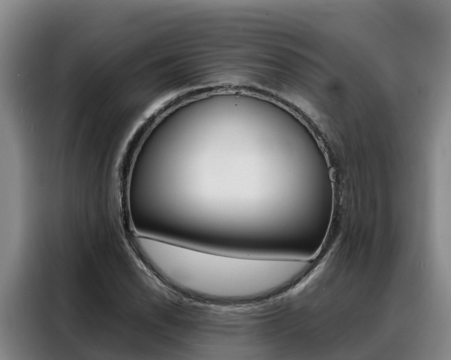 X0000088361118200705220727