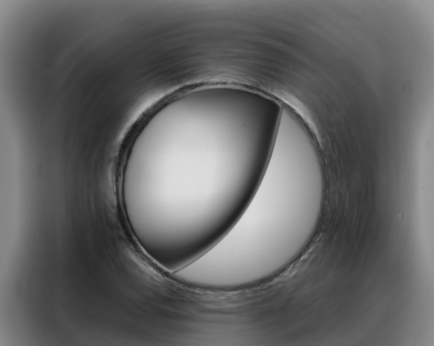 X0000088361120200705220727