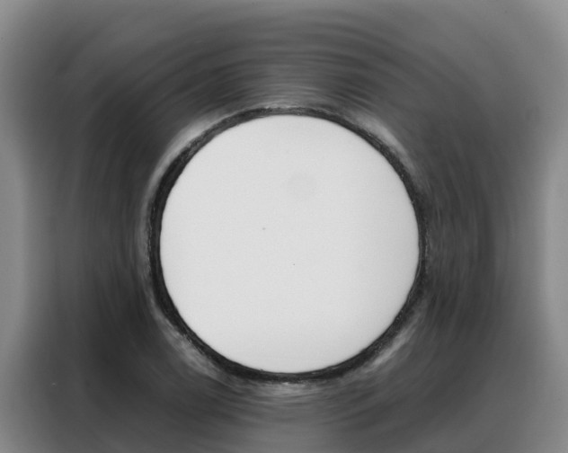 X0000088361122200705220727