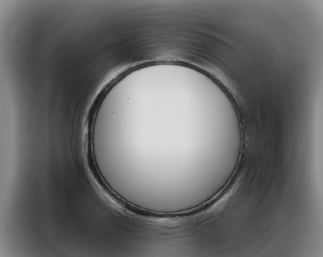 X0000088361126200705220727
