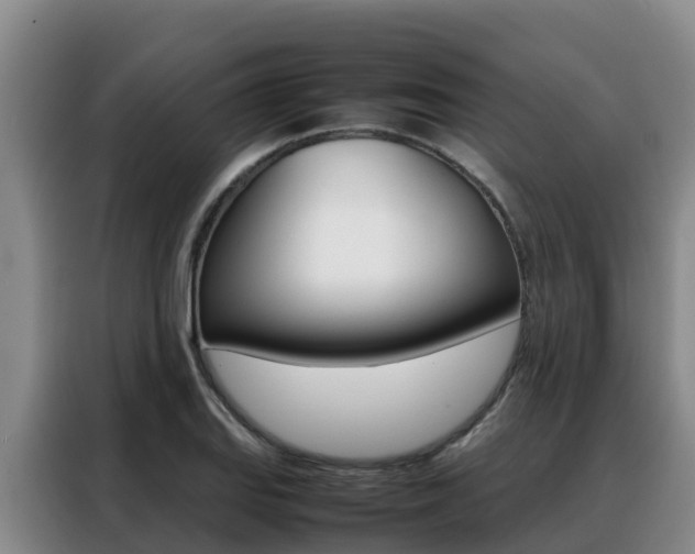 X0000088361127200705220727