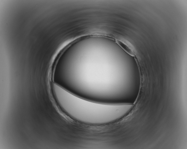 X0000088361128200705220727