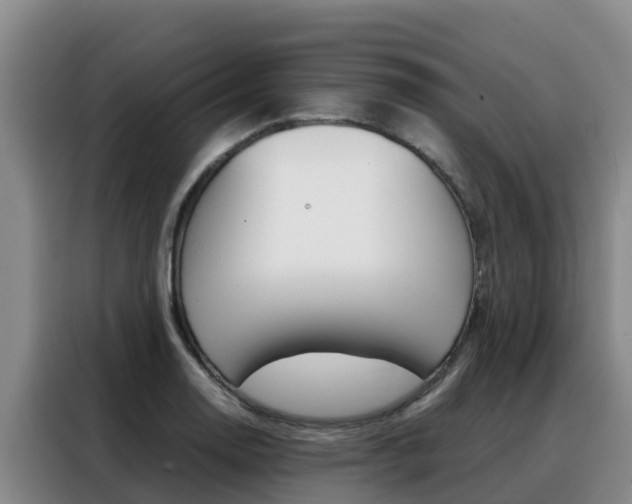 X0000088361130200705220727