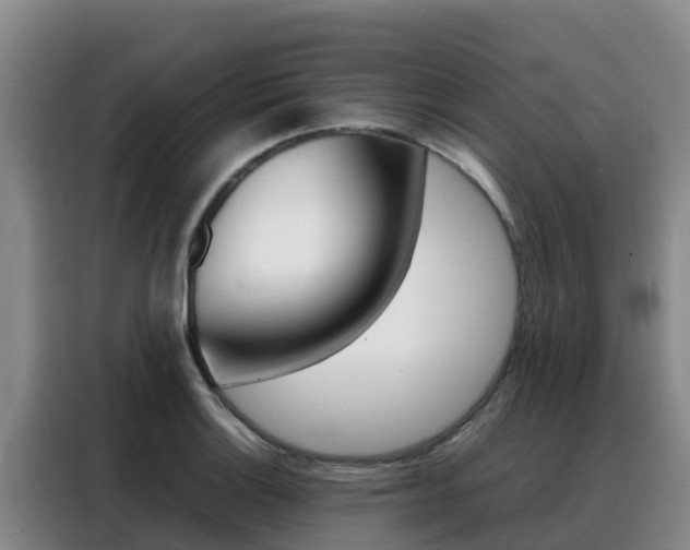 X0000088361132200705220727