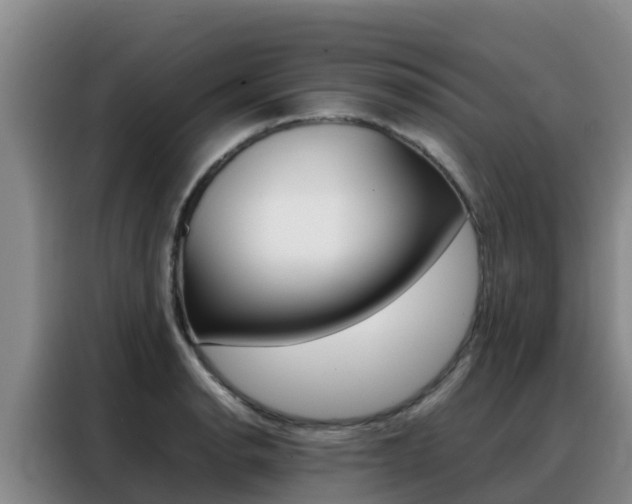 X0000088361134200705220727