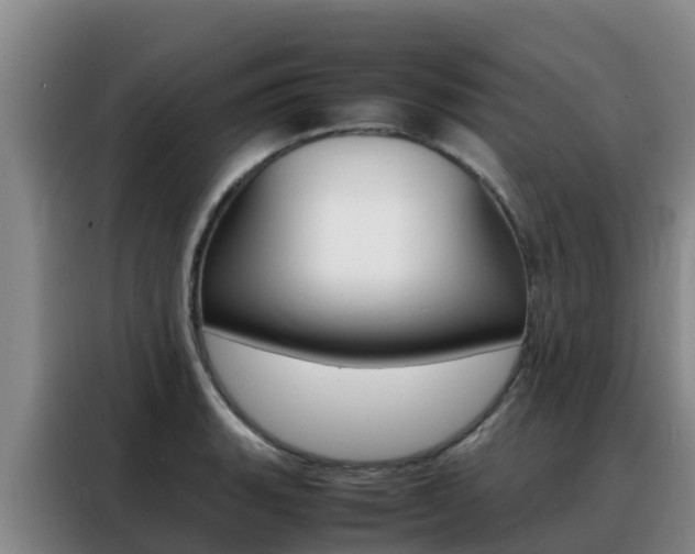 X0000088361135200705220727