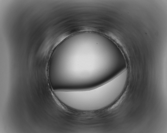 X0000088361137200705220727