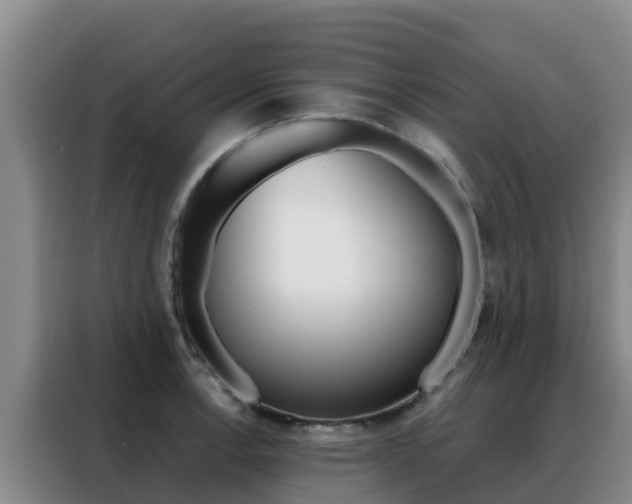 X0000088361138200705220728