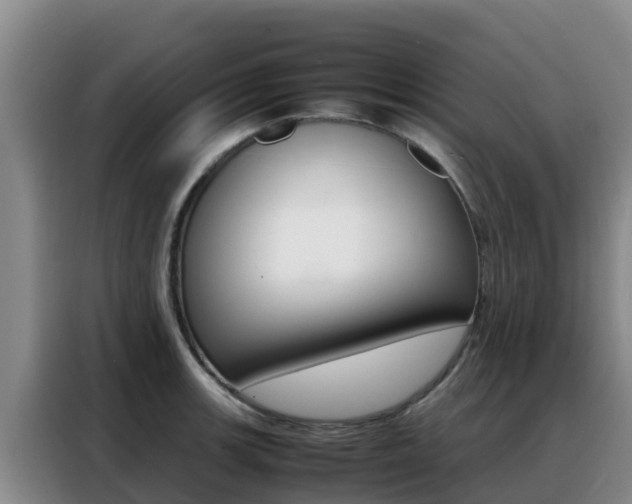 X0000088361139200705220728