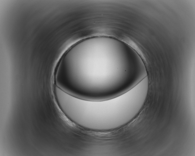 X0000088361140200705220728