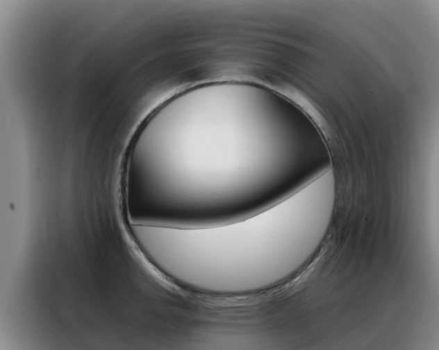 X0000088361142200705220728