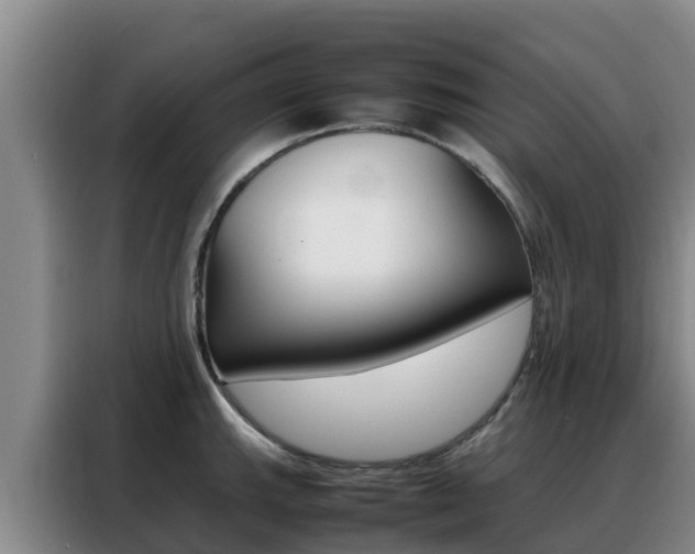 X0000088361143200705220728