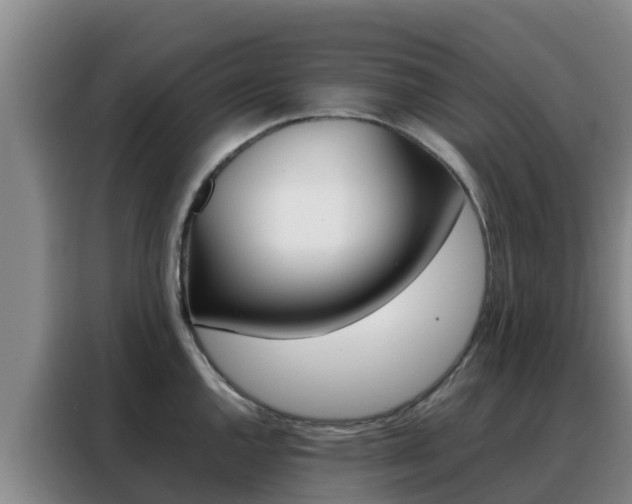 X0000088361144200705220728