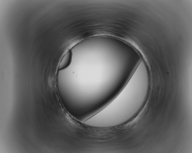 X0000088361145200705220728