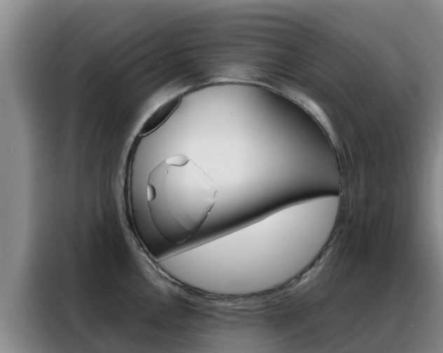 X0000088361146200705220728
