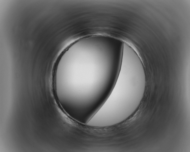 X0000088361147200705220728