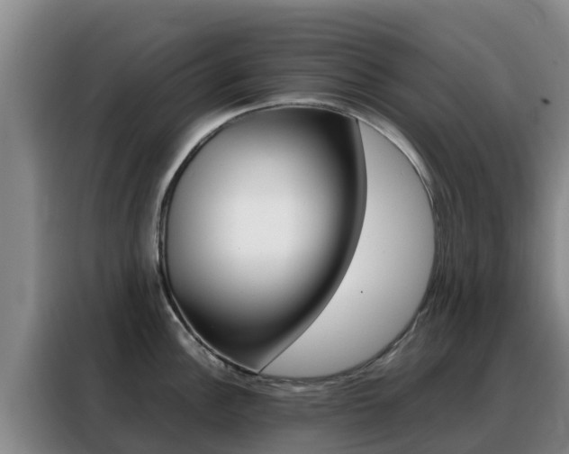 X0000088361148200705220728