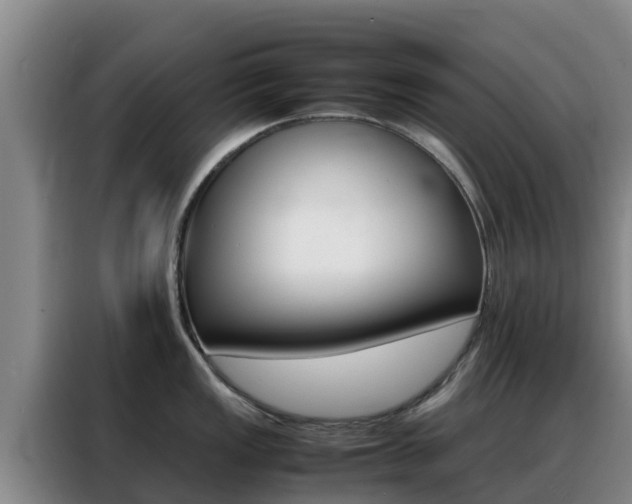 X0000088361149200705220728