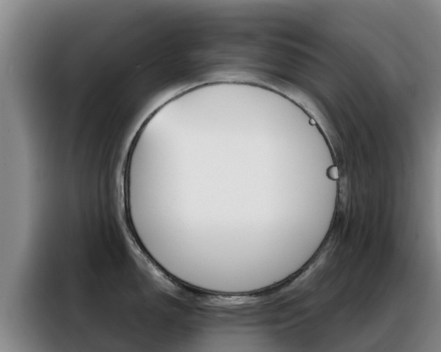 X0000088361150200705220728