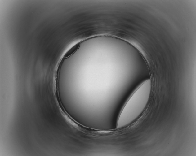 X0000088361151200705220728