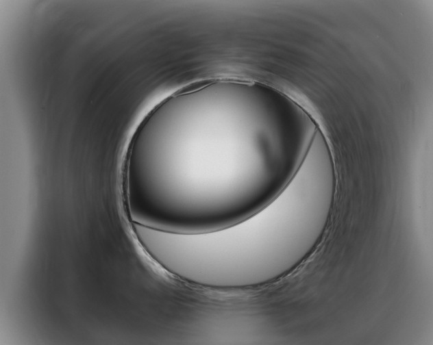 X0000088361152200705220728