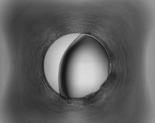 X0000088361153200705220727