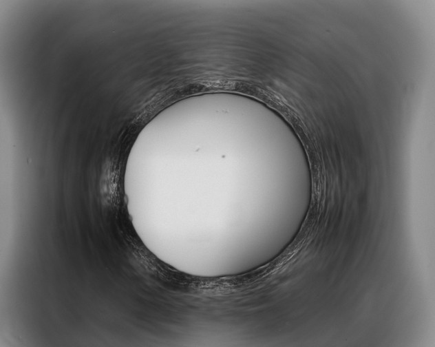 X0000088361154200705220727