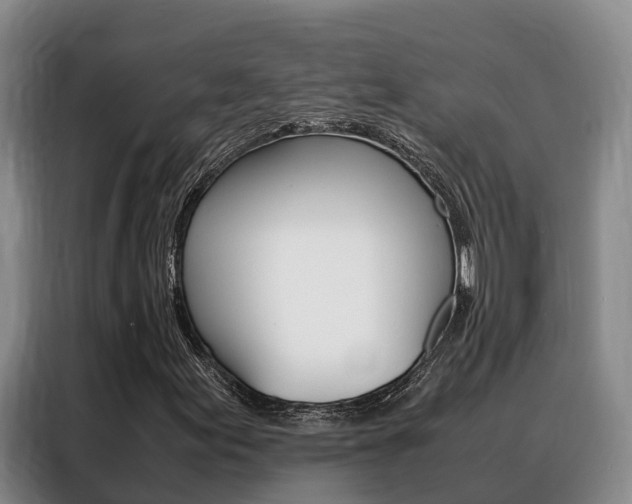 X0000088361155200705220727