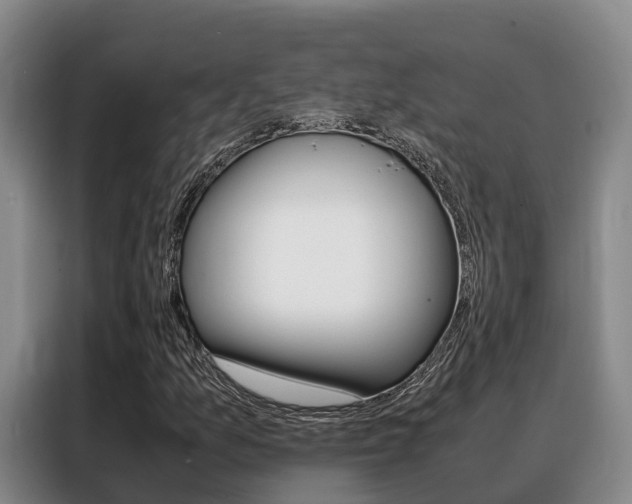 X0000088361157200705220727