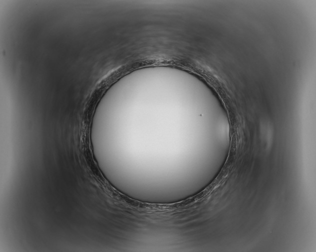 X0000088361158200705220727