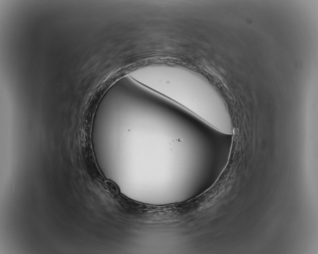 X0000088361159200705220727