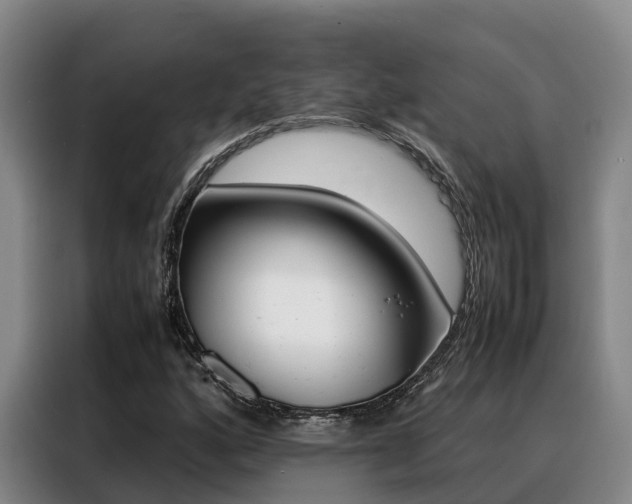 X0000088361160200705220727