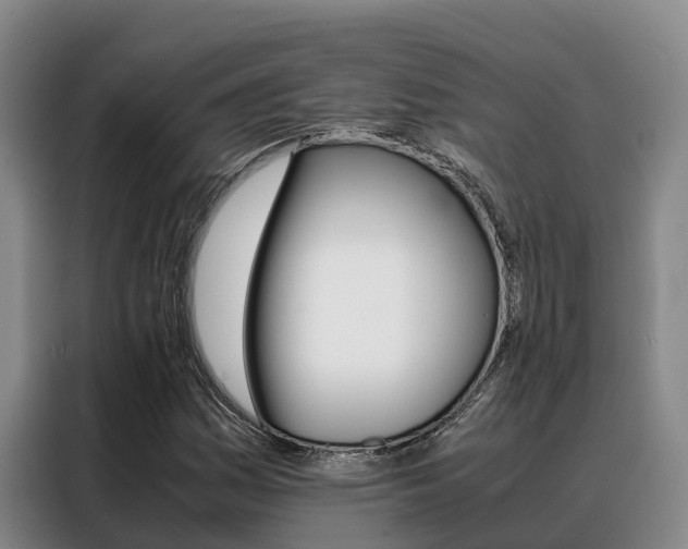 X0000088361161200705220727