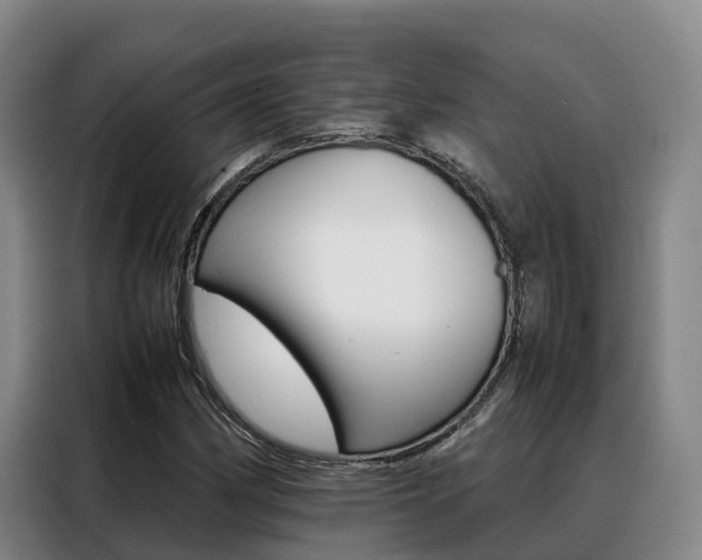 X0000088361162200705220727