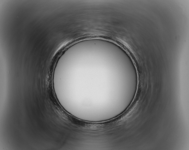 X0000088361163200705220727
