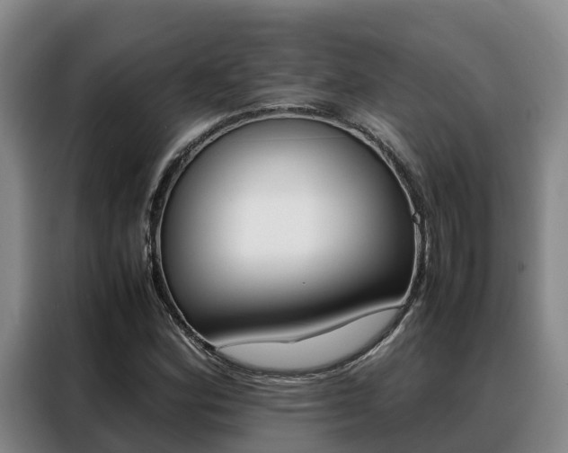 X0000088361164200705220727