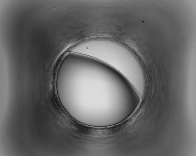 X0000088361165200705220727