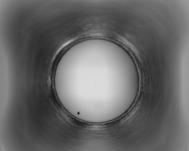 X0000088361166200705220727