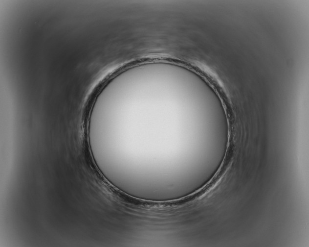 X0000088361167200705220727