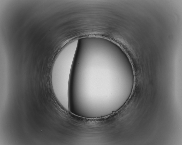 X0000088361169200705220727