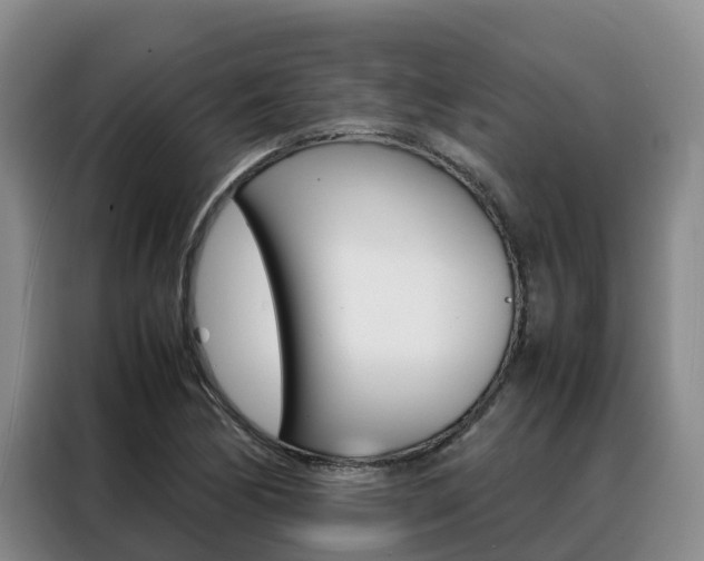 X0000088361170200705220727