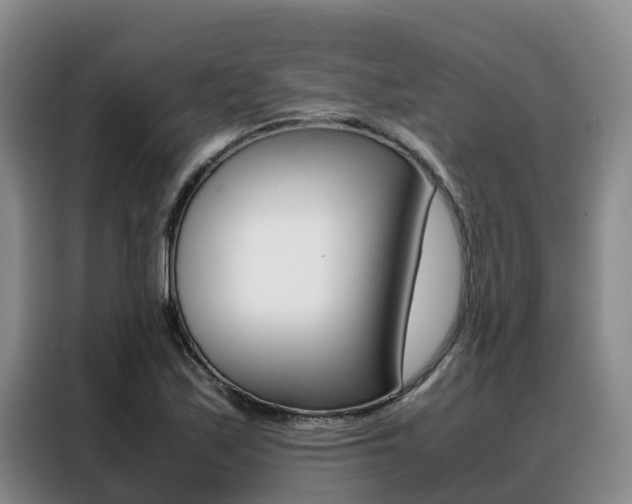 X0000088361171200705220727