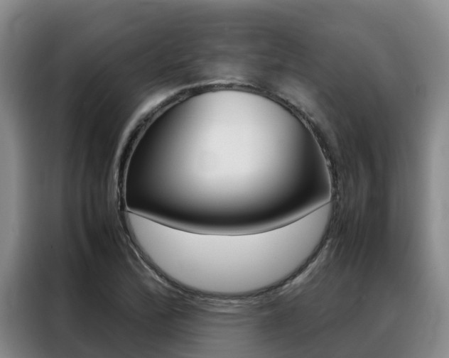 X0000088361172200705220727