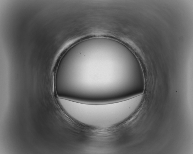 X0000088361175200705220727