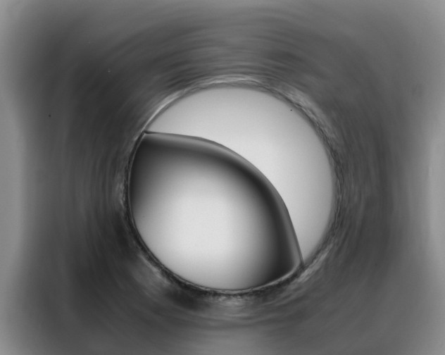 X0000088361177200705220727