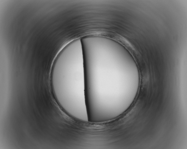X0000088361178200705220727